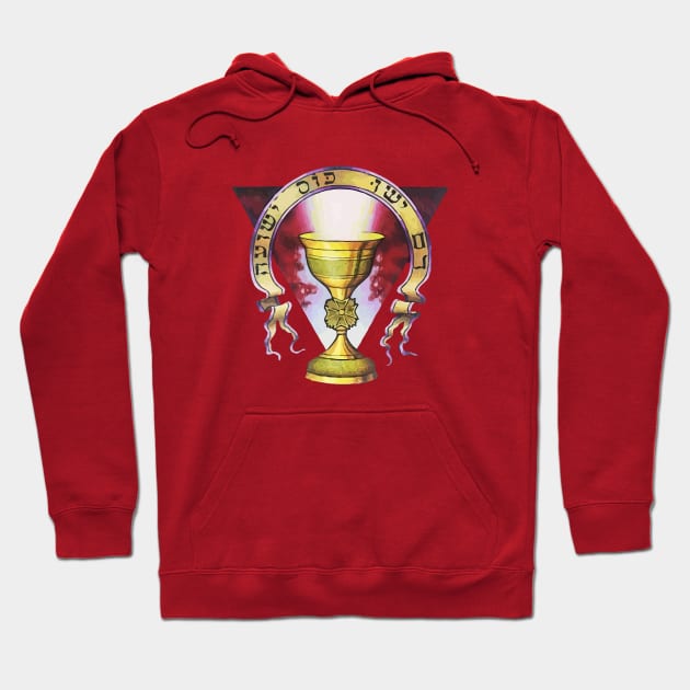 Sangreal Holy Blood Holy Grail Hoodie by Teenugs